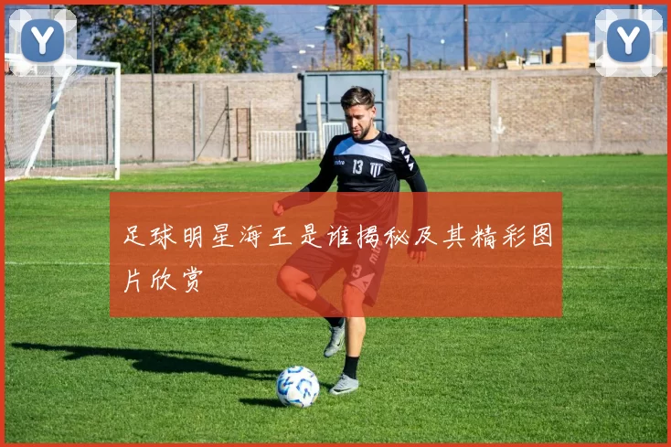 足球明星海王是谁揭秘及其精彩图片欣赏