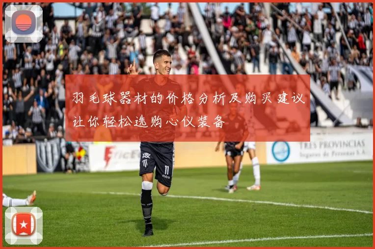 羽毛球器材的价格分析及购买建议让你轻松选购心仪装备