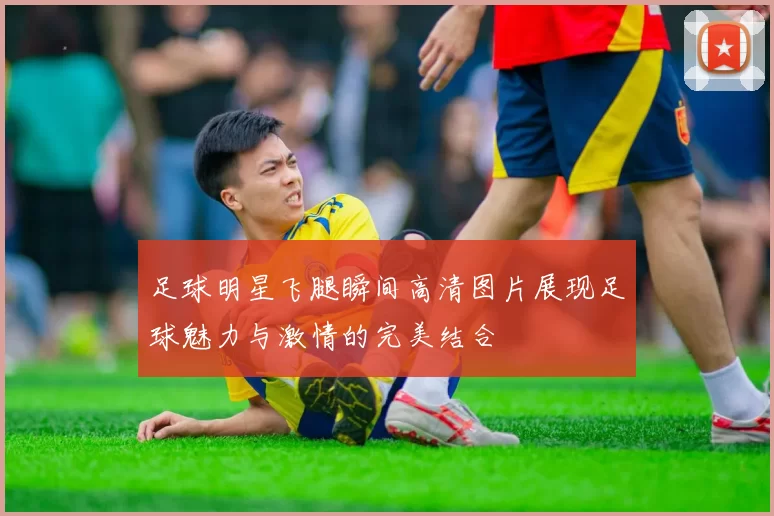 足球明星飞腿瞬间高清图片展现足球魅力与激情的完美结合