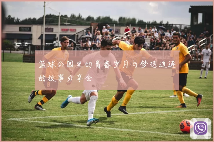 篮球公园里的青春岁月与梦想追逐的故事分享会